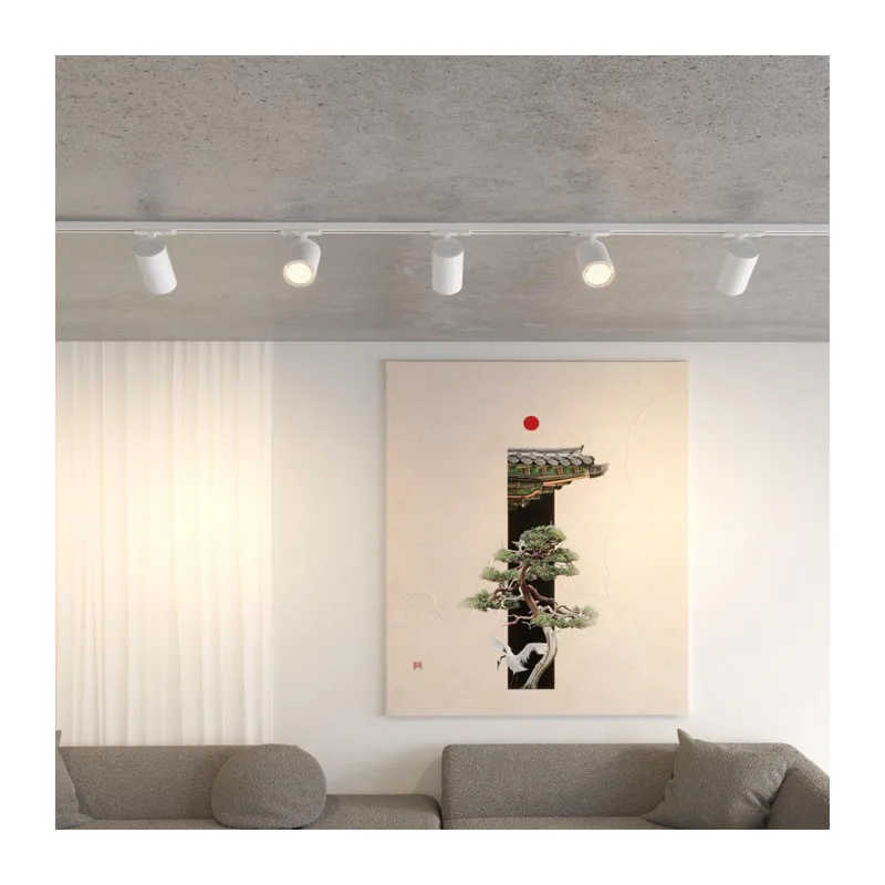359918 PORT NT26 000 белый Светильник трековый однофазный двухжильный IP20 LED 20W 220-240V 4000К SELENE 5
