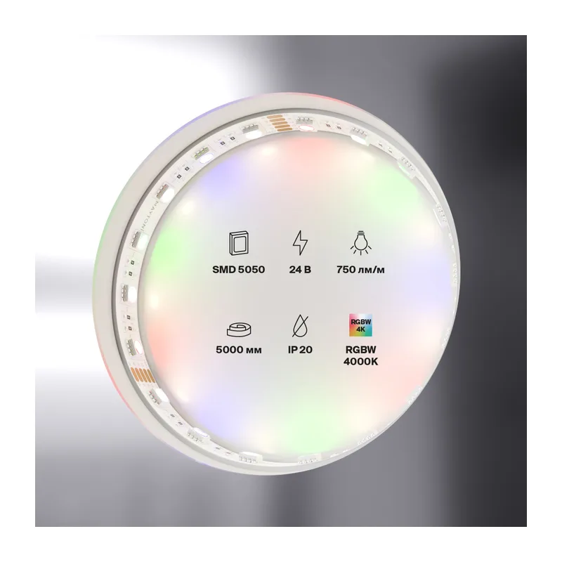 Светодиодная лента 24В 5050 19,2Вт/м Цветная (RGB) + 4000K 5м IP20 Maytoni 10180 4