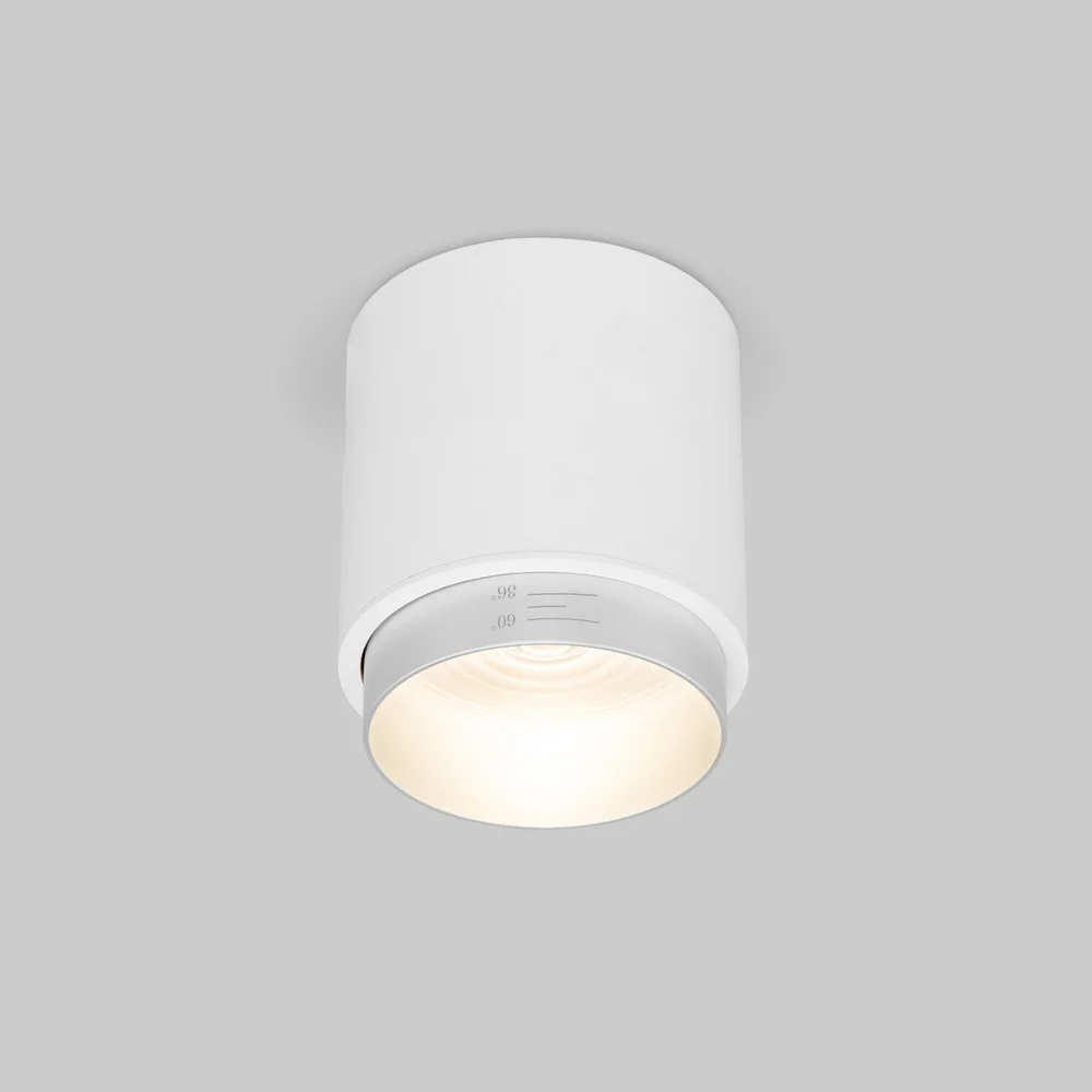 Потолочный светодиодный светильник Cors 25032/LED 10W 4200K белый/серебро Elektrostandard