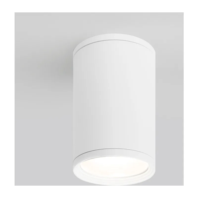Уличный потолочный светильник Light IP65 35128/H серый Elektrostandard
