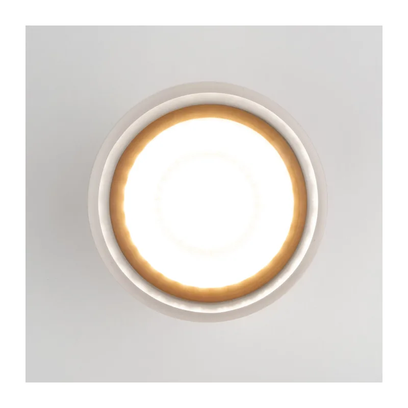 Уличный потолочный светильник Light LED 2107 IP54 35140/H серый Elektrostandard 3