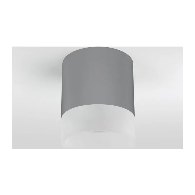 Уличный потолочный светильник Light LED 2107 IP54 35140/H серый Elektrostandard 4