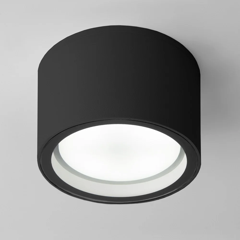 Уличный потолочный светильник Light 26231 IP54 35144/H черный Elektrostandard