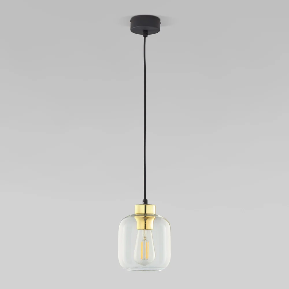 Подвесной светильник со стеклянным плафоном 6695 TK Lighting