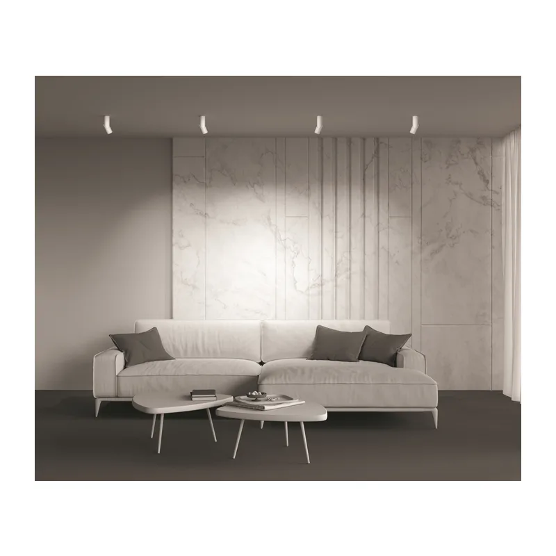 Потолочный светильник Дафна / Dafne 10 Вт 3000 К 38° Maytoni C027CL-L10W 4