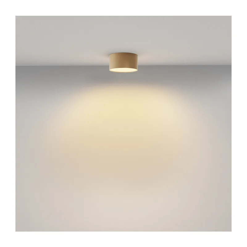 Потолочный светильник Зон / Zon 12 Вт 2700 К 120° Maytoni C032CL-12W2.7K-RD-MG 5