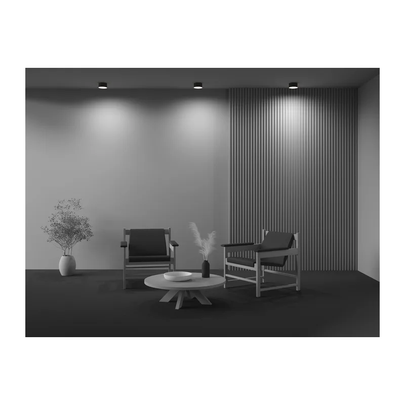 Потолочный светильник Зон / Zon 12 Вт 4000 К 120° Maytoni C032CL-12W4K-RD-B 6