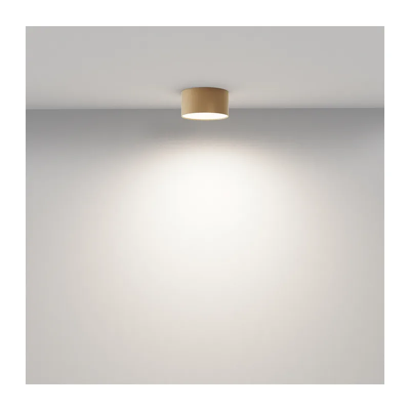 Потолочный светильник Зон / Zon 12 Вт 4000 К 120° Maytoni C032CL-12W4K-RD-MG 3