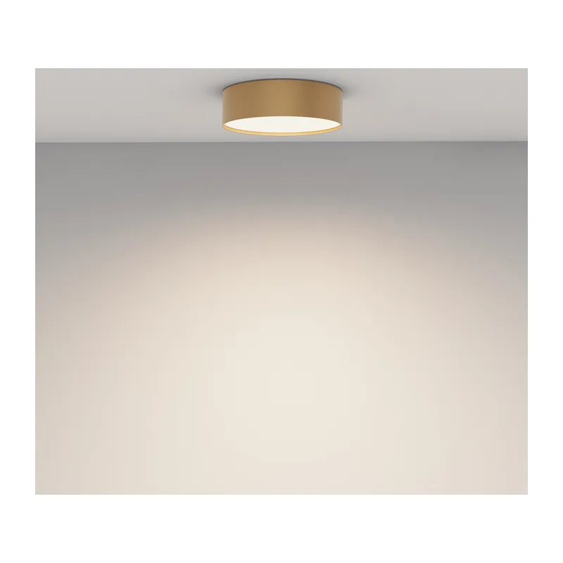 Потолочный светильник Зон / Zon 24 Вт 4000 К 120° Maytoni C032CL-24W4K-RD-MG 4