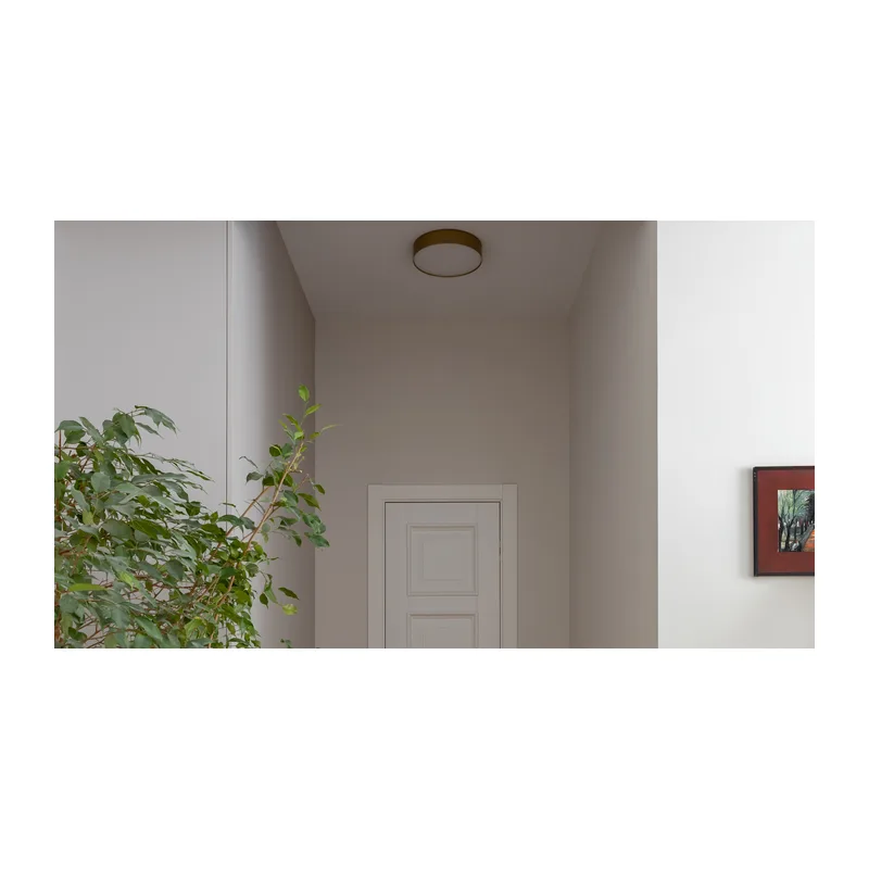 Потолочный светильник Зон / Zon 36 Вт 4000 К 120° Maytoni C032CL-36W4K-RD-MG 9