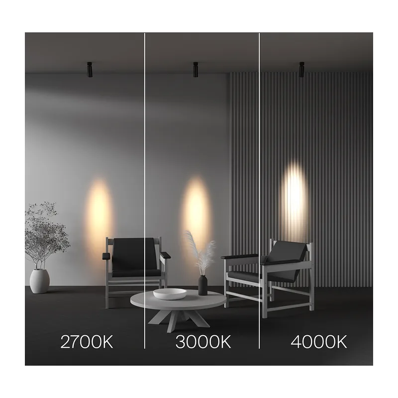 Потолочный светильник Фокус / FOCUS LED 12 Вт 2700 К 9° Maytoni C055CL-L12W2.7K-SS-B 6