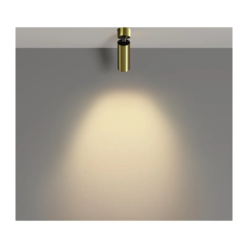 Потолочный светильник Фокус / FOCUS LED 12 Вт 2700 К 50° Maytoni C055CL-L12W2.7K-W-BS 5