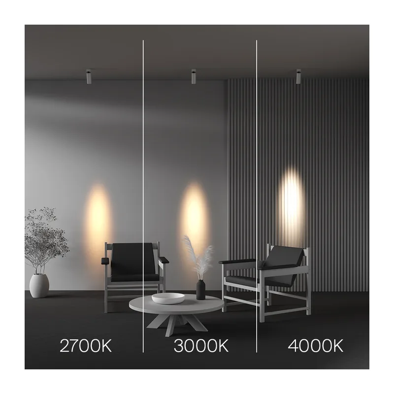 Потолочный светильник Фокус / FOCUS LED 12 Вт 3000 К 9° Maytoni C055CL-L12W3K-SS-W 6
