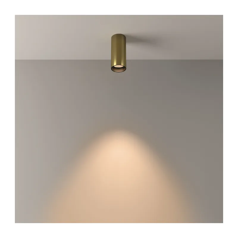Потолочный светильник Фокус / FOCUS LED 12 Вт 3000 К 50° Maytoni C056CL-L12W3K-W-BS 5