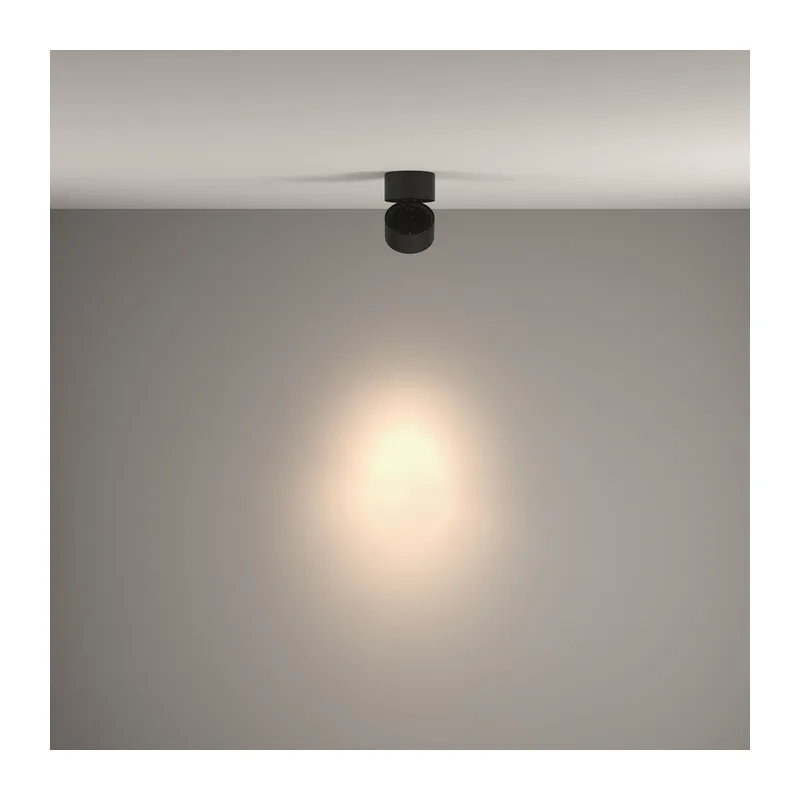 Потолочный светильник Инь / Yin 15 Вт 4000 К 24° Maytoni C084CL-15W4K-B 3