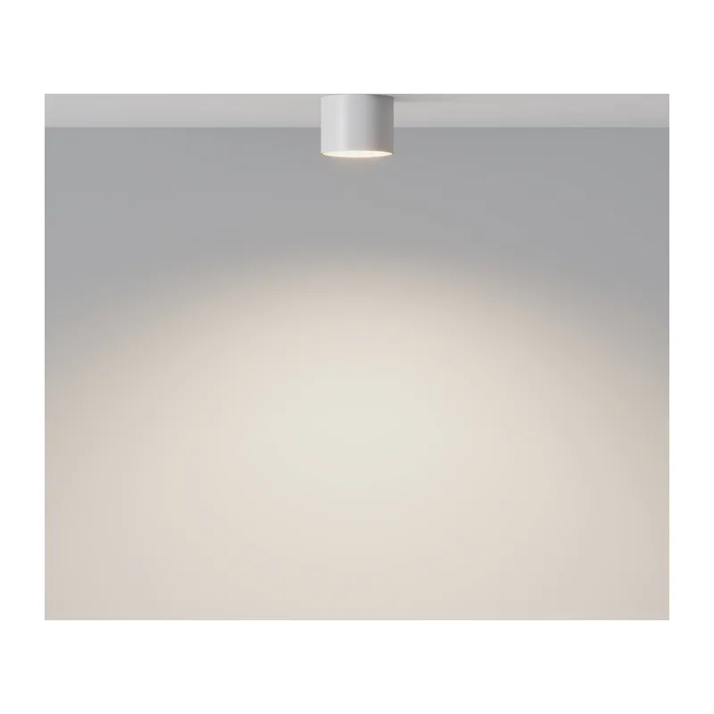 Потолочный светильник Глэм / Glam 1*GX53 12 Вт Maytoni C096L-GX53-WBS 6