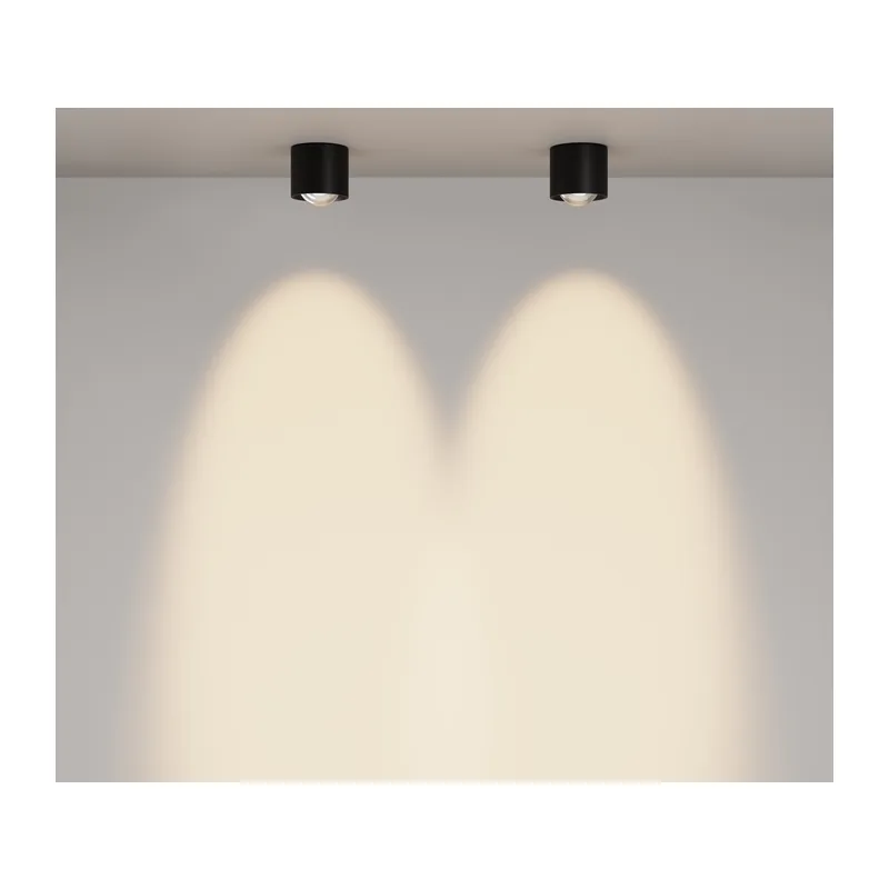 Потолочный светильник Линза / Lens 15 Вт 3000 К 70° IP 44 Maytoni C217CL-15W3K-B 10