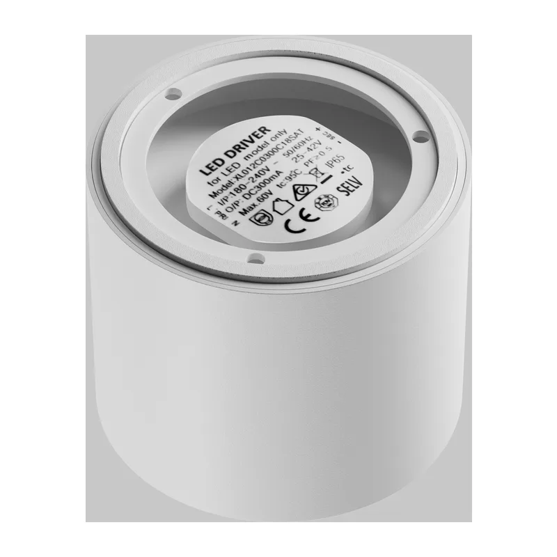 Потолочный светильник Линза / Lens 15 Вт 3000 К 70° IP 44 Maytoni C217CL-15W3K-W 6