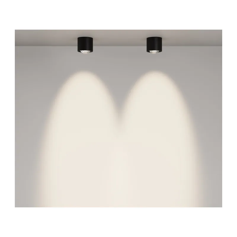 Потолочный светильник Линза / Lens 15 Вт 4000 К 70° IP 44 Maytoni C217CL-15W4K-B 10