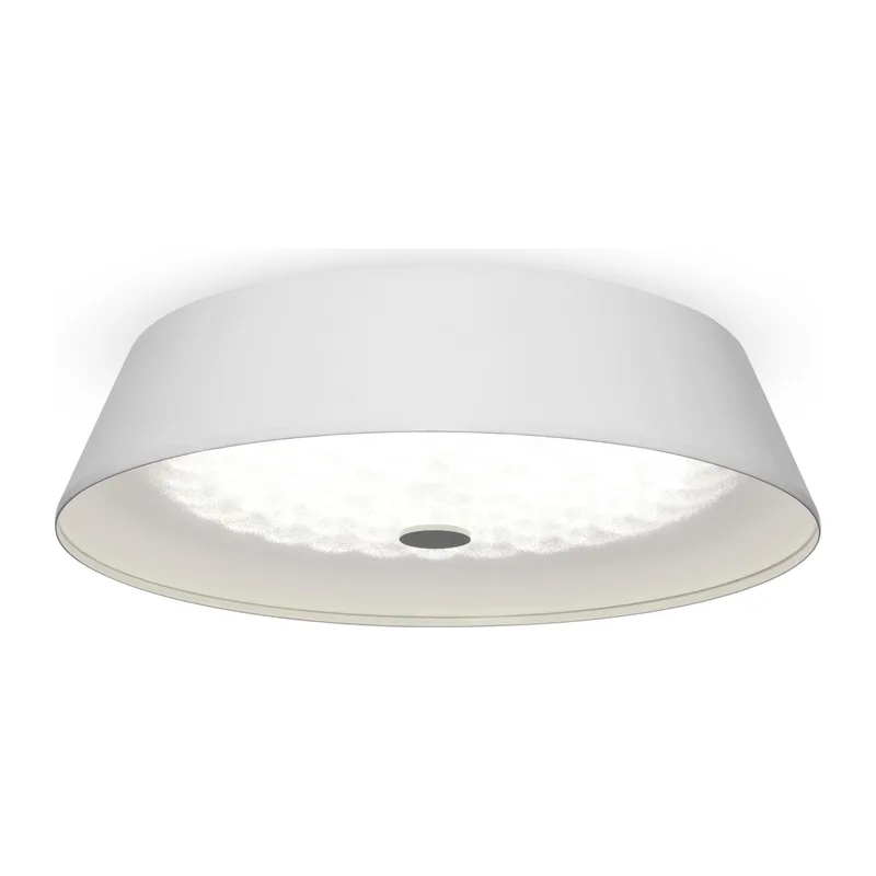 Потолочный светильник FR10013CL-L24W Элементы 24 Вт LED Freya