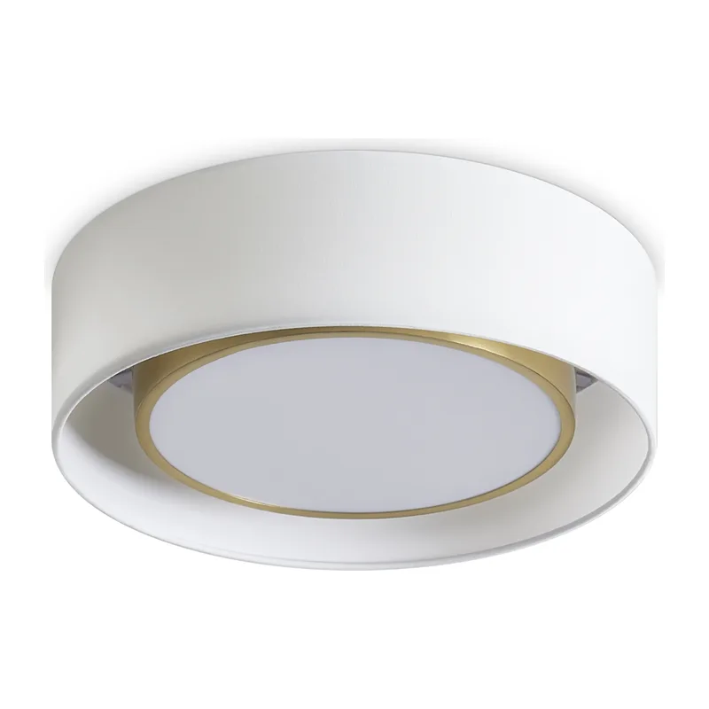 Потолочный светильник Уют / Cozy Freya FR6170CL-L52BS 4