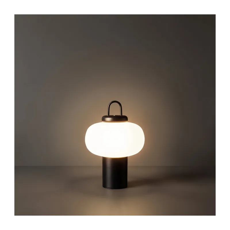 Настольный светильник Жест / Take Freya FR6175TL-L10B 9