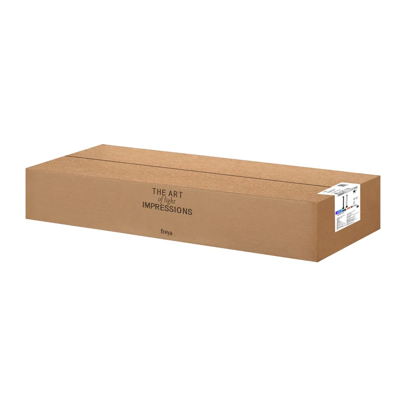 Умный Аккумуляторный светильник FR6209RL-L3B Красс / Krass 10 Вт LED Freya 3