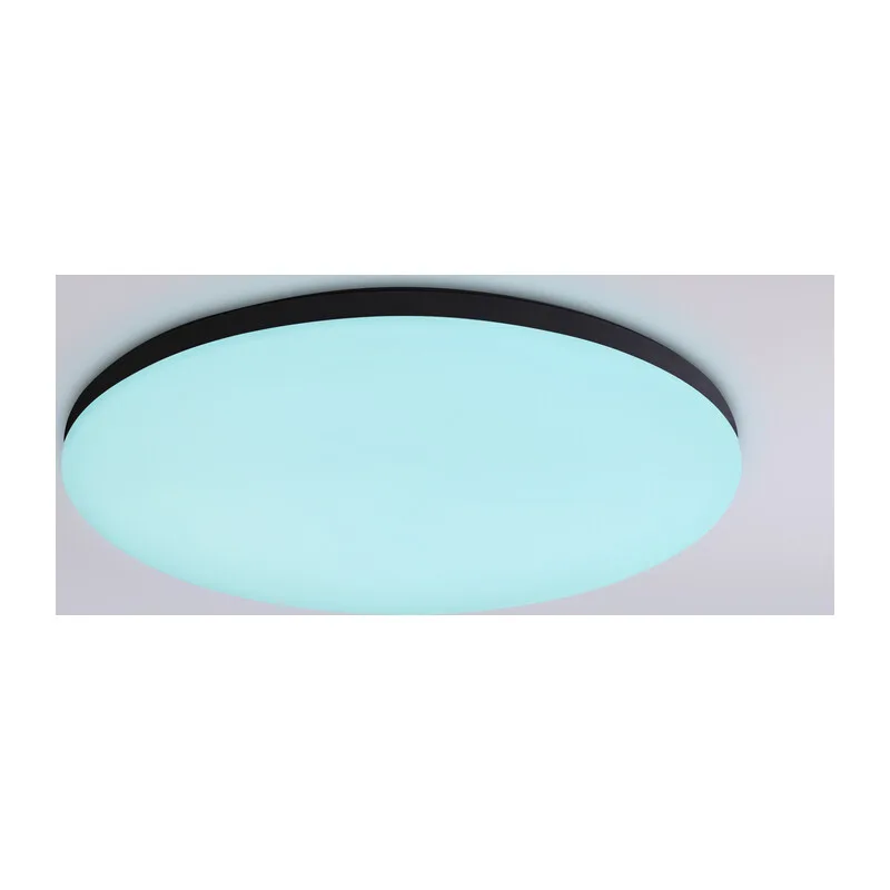 Умный светодиодный светильник с пультом 3000K-6500K+RGB 20Вт IP54 (Tuya,Smart Home,Яндекс Алиса) FZ2004 BK черный IP54 20W 3000K-6500K+RGB Wi-Fi Алиса/Tuya/Smart Home/Alexa D300*55 (ПДУ ИК) Ambrella Light 11
