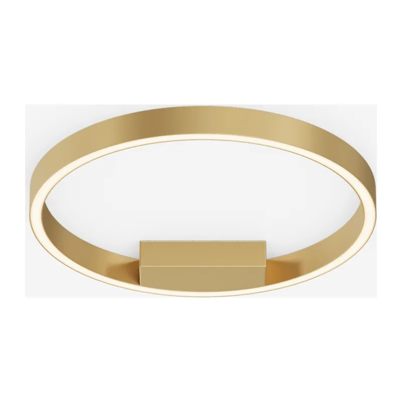 Потолочный светильник Рим / Rim 2600-3500К 24Вт Maytoni MOD058CL-L25BSK 3