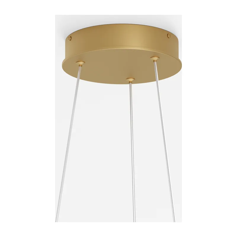 Подвесной светильник Рим / Rim 2600-3500К 24Вт Maytoni MOD058PL-L22BSK 5
