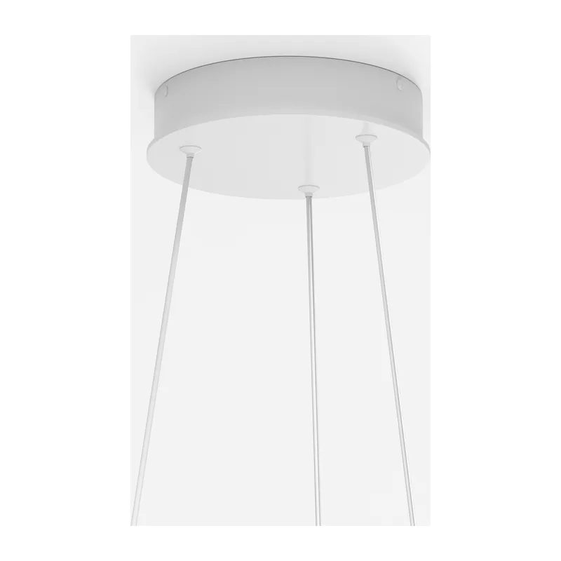 Подвесной светильник Рим / Rim 3000-4000К 59Вт Maytoni MOD058PL-L54WK 5