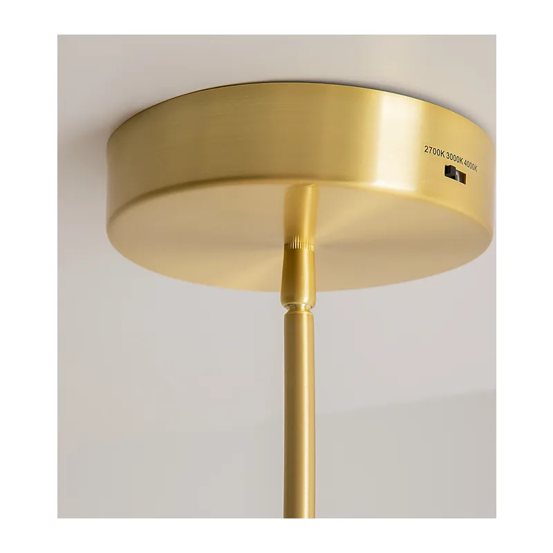 Подвесной светильник Фростум / Frostum 2700-4000К 20Вт Maytoni MOD439PL-L20BSK 7
