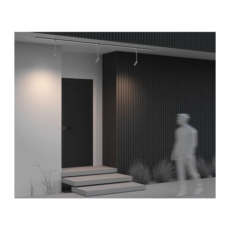 Уличный трековый светильник Фокус / Focus Led Elasity IP 3000K 8Вт 55° белый Maytoni O-TR01-2-P-8WW3K 2