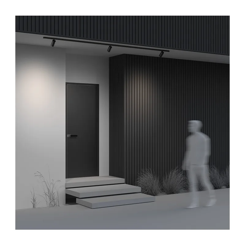 Уличный трековый светильник Фокус / Focus Led Exility IP 4000К 20Вт 36° черный Maytoni O-TR02-1-S-20WB4K 5