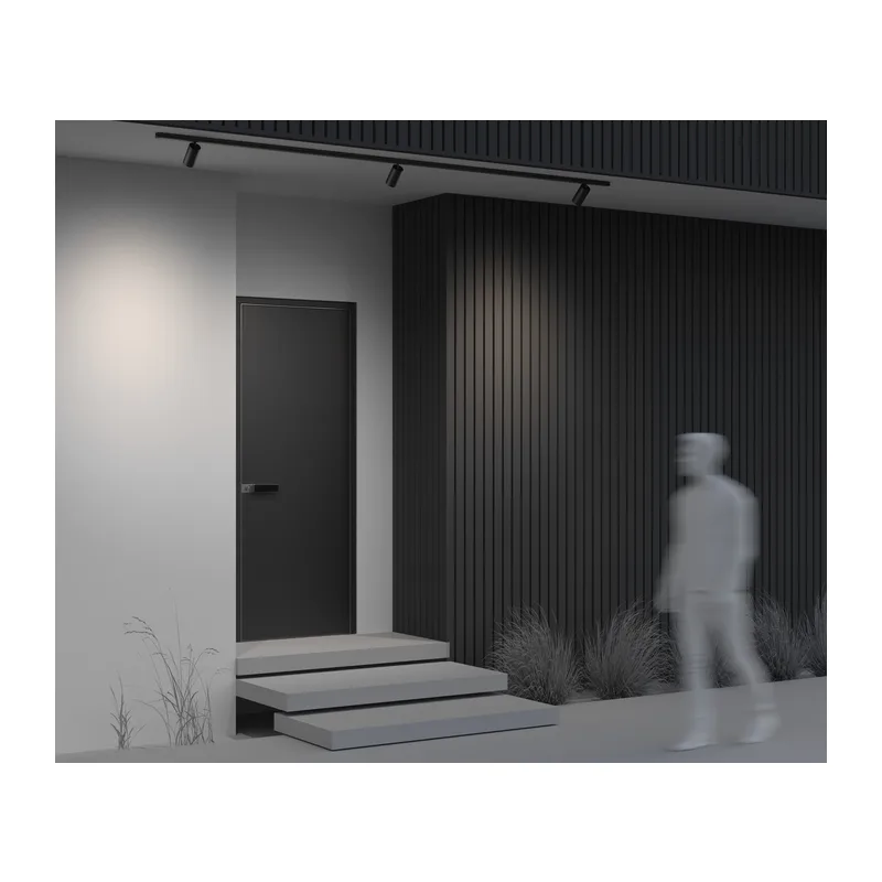 Уличный трековый светильник Фокус / Focus Led Exility IP 4000К 20Вт 36° черный Maytoni O-TR02-1-S-20WB4K 8