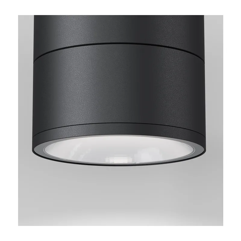 Потолочный светильник Спин / Spin 3000К 12Вт IP 54 Maytoni O310CL-L12GF3K 3