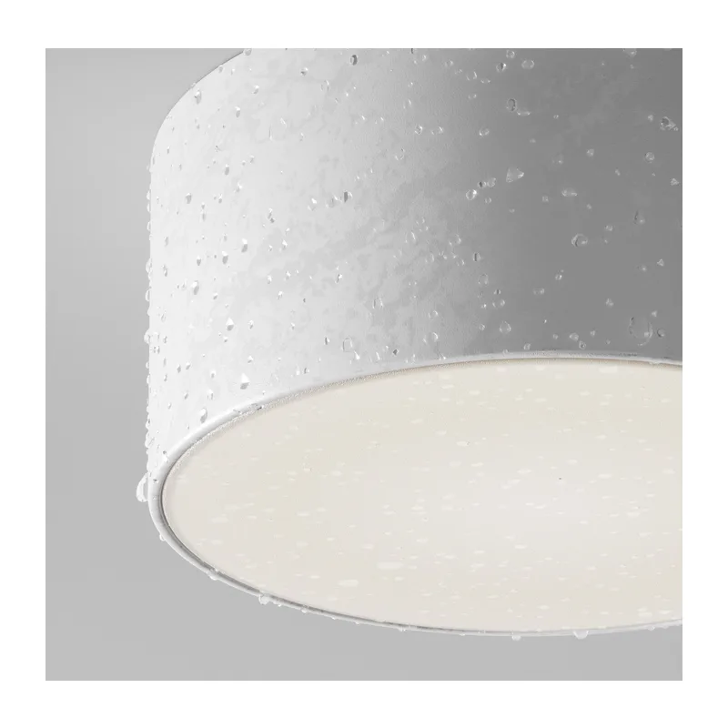 Потолочный светильник Зон / Zon IP 4000 15Вт IP 65 Maytoni O430CL-L15W4K 3