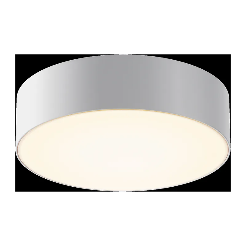 Потолочный светильник Зон / Zon IP 3000K 30Вт IP 65 Maytoni O431CL-L30W3K 4