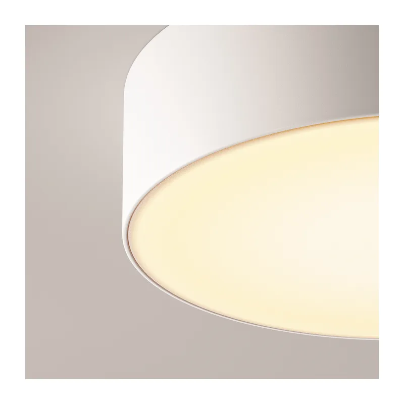 Потолочный светильник Зон / Zon IP 3000K 30Вт IP 65 Maytoni O431CL-L30W3K 5