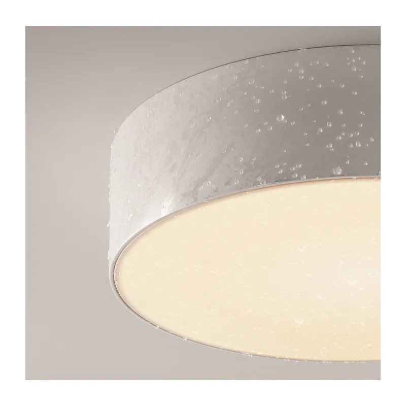 Потолочный светильник Зон / Zon IP 3000K 30Вт IP 65 Maytoni O431CL-L30W3K 6