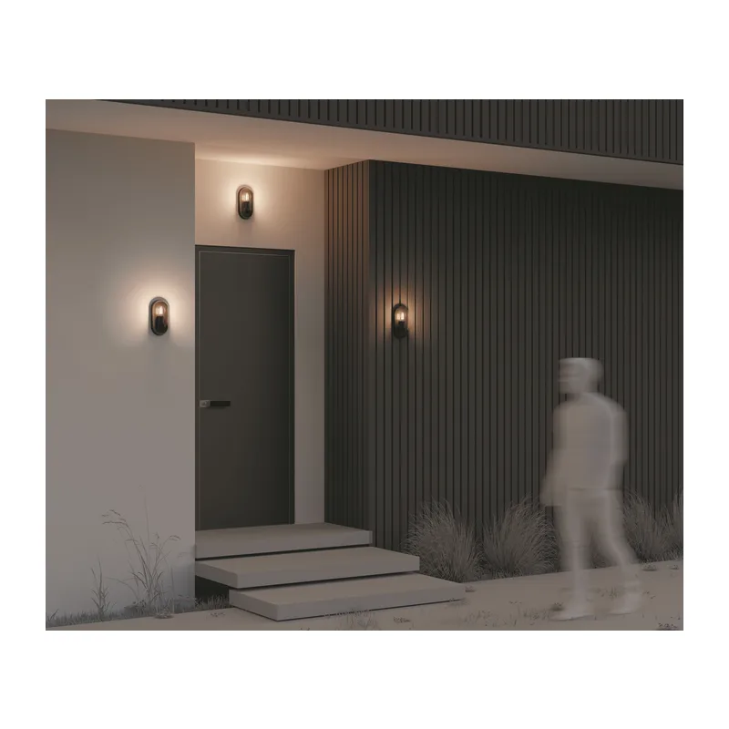 Настенный светильник (бра) Свеча / Candle E27x1 15Вт IP 65 Maytoni O449WL-01GF 7