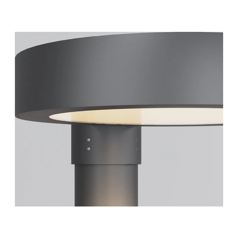 Парковый светильник Дион / Dion 3000К 50Вт IP 65 Maytoni O472H-L50GF3K 4