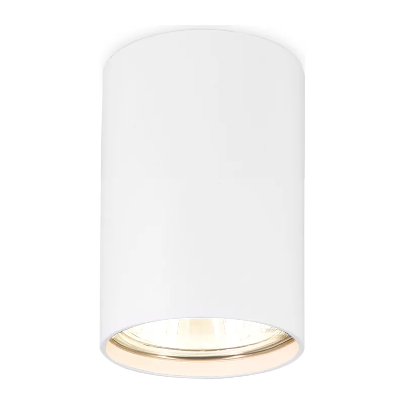 Накладной точечный светильник MR16 1*GU5.3 TN213101 WH белый GU5.3 D55*80 Ambrella Light 3