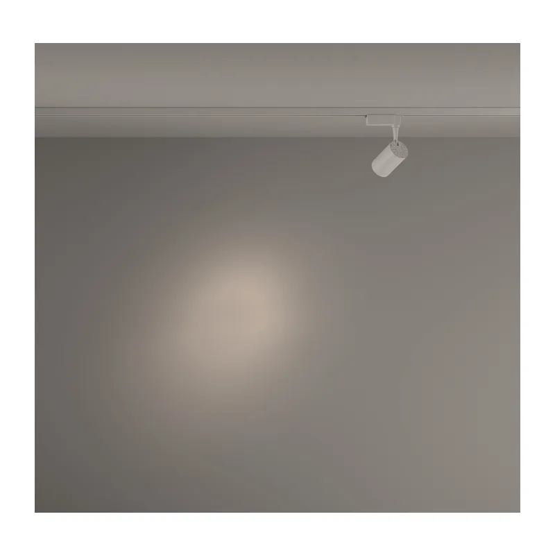 Трековый светильник Вуоро / Vuoro Unity 4000K 6Вт 24° Maytoni TR003-1-6W4K-S-W 5