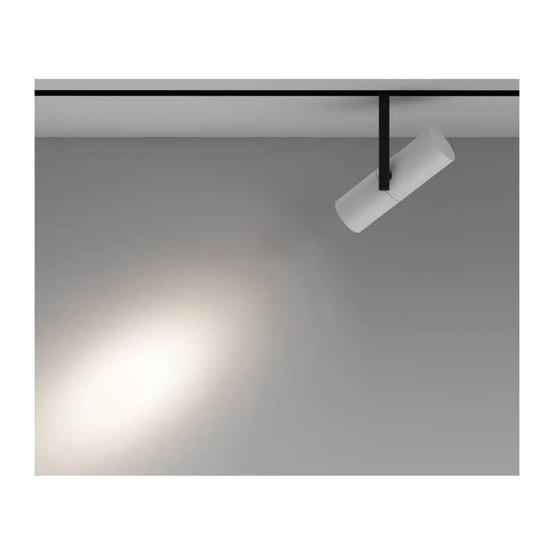 Трековый светильник Элти / Elti Exility 4000K 12Вт 36° Maytoni TR005-2-12W4K-BW 4