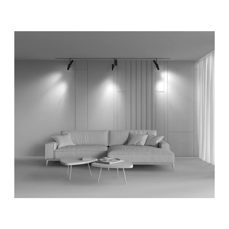 Трековый светильник Элти дуэт / Elti Duo Exility 2700-6000K 24Вт 36° Dim Smart Maytoni TR005-4-2X12W-DS-B 4