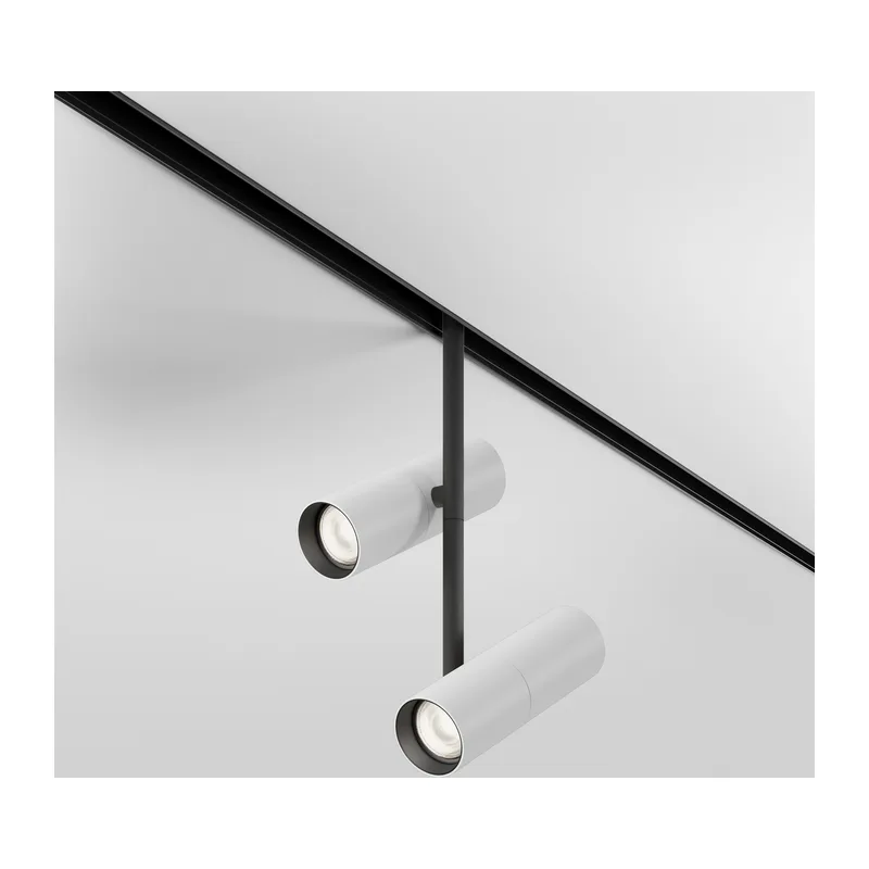 Трековый светильник Элти дуэт / Elti Duo Exility 2700-6000K 24Вт 36° Dim Smart Maytoni TR005-4-2X12W-DS-BW 6