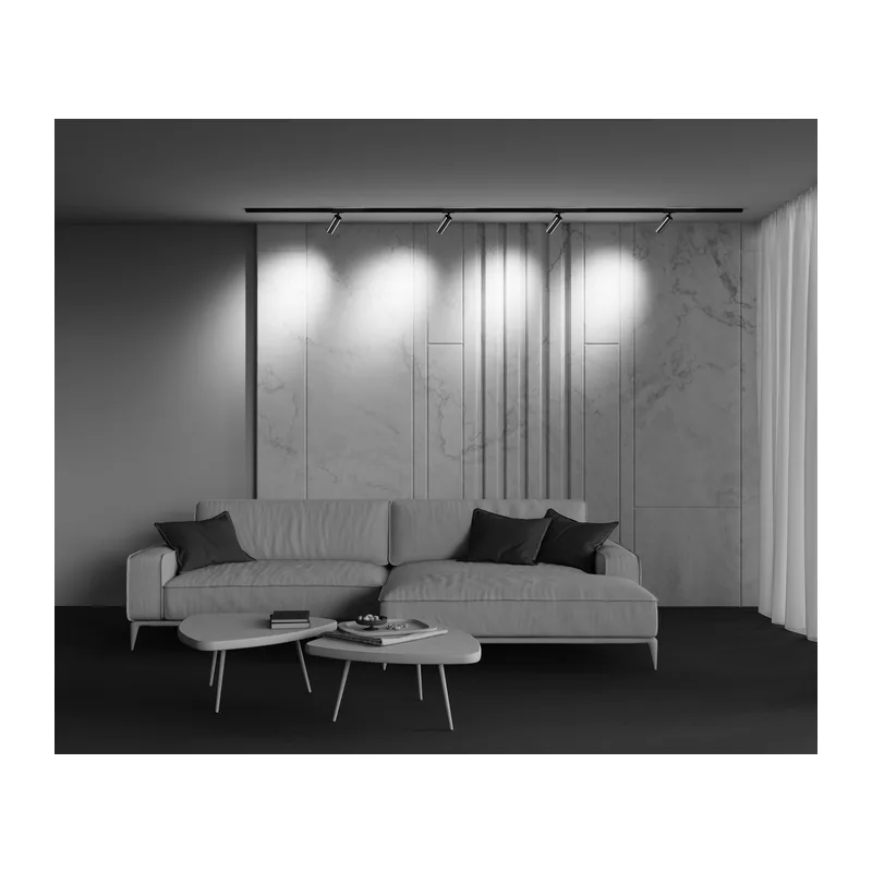 Трековый светильник Фокус / Focus LED Unity 4000K 12Вт 50° Maytoni TR021-1-12W4K-W-BBS 13