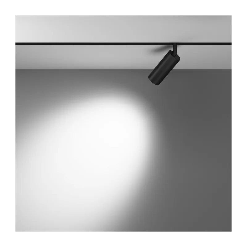 Трековый светильник Фокус / Focus Led Exility 4000K 12Вт 36° Maytoni TR032-2-12W4K-M-B 8
