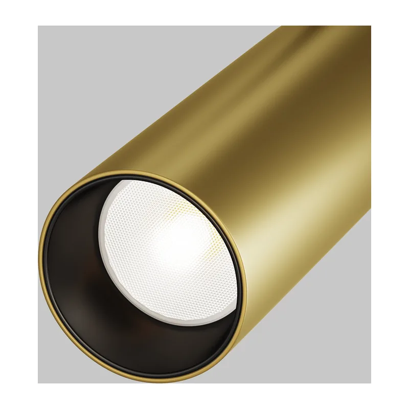 Трековый светильник Фокус / Focus Led Exility 4000K 12Вт 24° Maytoni TR032-2-12W4K-S-MG 3